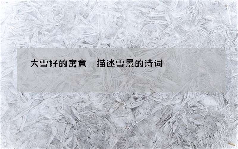 大雪好的寓意 描述雪景的诗词